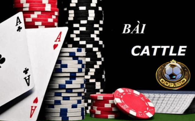 Hướng dẫn chơi catte 009 casino dễ thắng từ cao thủ
