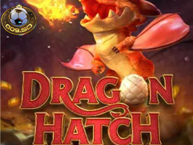 Chiến lược trở thành nhà vô địch Dragon Hatch 009